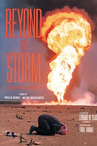 cover image Beyond the Storm: A Gulf Crisis Reader