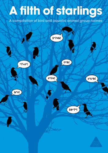 cover image A Filth of Starlings: A Compilation of Bird and Aquatic Animal Group Names