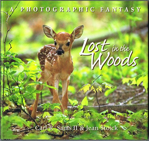 cover image LOST IN THE WOODS: A Photographic Fantasy