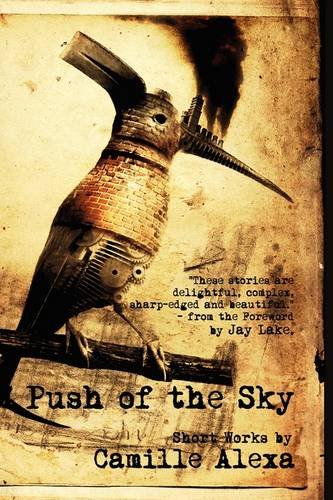 cover image Push of the Sky