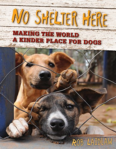 cover image No Shelter Here: Making the World a Kinder Place 
for Dogs