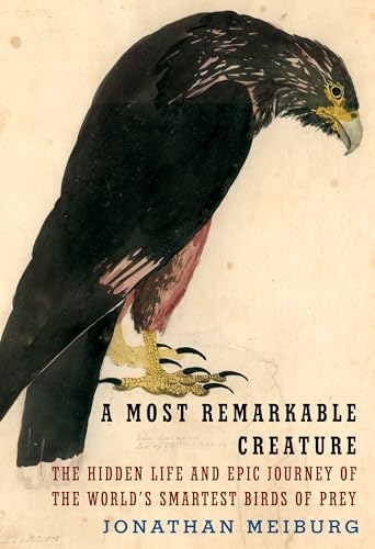 cover image A Most Remarkable Creature: The Hidden Life and Epic Journey of the World’s Smartest Birds of Prey