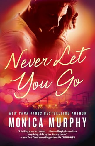 cover image Never Let You Go
