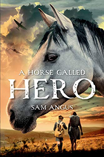 cover image A Horse Called Hero