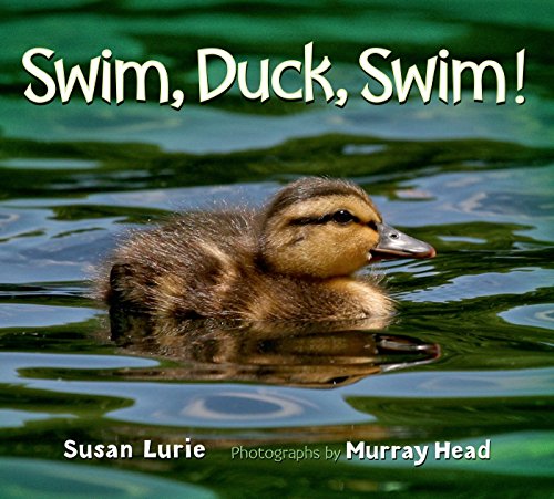 cover image Swim, Duck, Swim!