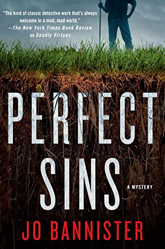 cover image Perfect Sins