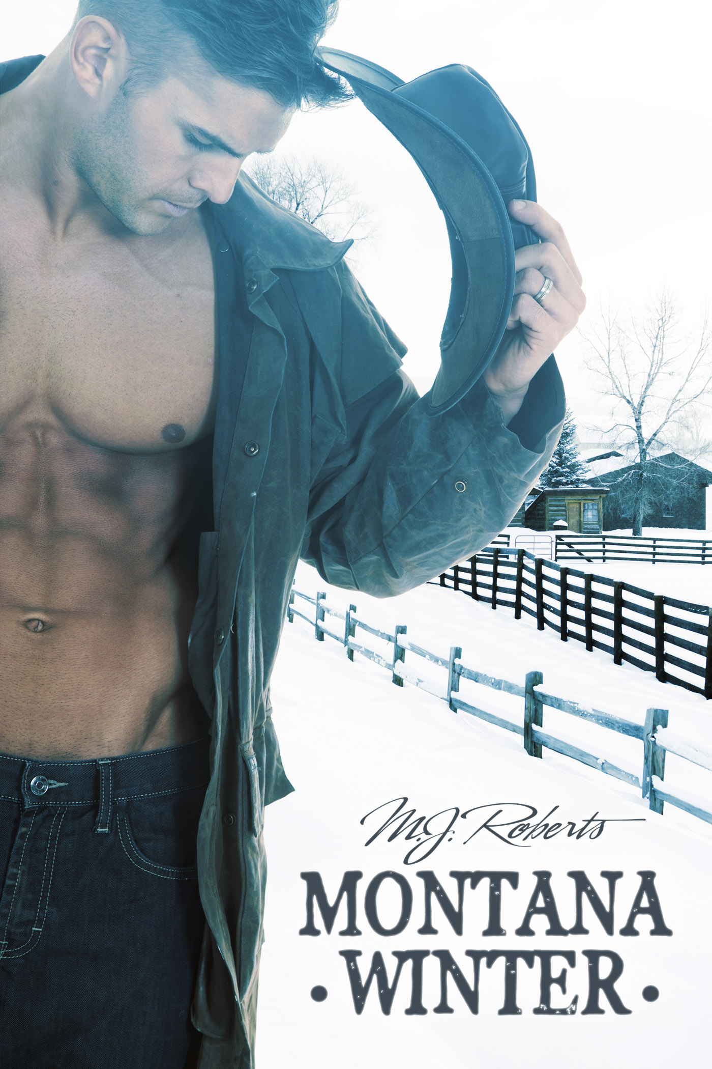 cover image Montana Winter