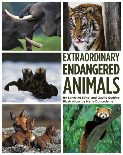 cover image Extraordinary Endangered Animals