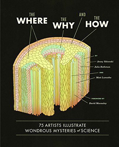 cover image The Where, the Why, and the How: 75 Artists Illustrate the Wondrous Mysteries of Science