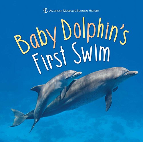 cover image Baby Dolphin’s First Swim