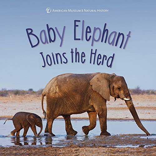 cover image Baby Elephant Joins the Herd