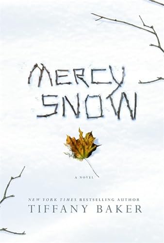 cover image Mercy Snow
