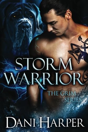cover image Storm Warrior