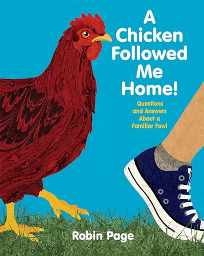cover image A Chicken Followed Me Home: Questions and Answers About a Familiar Fowl