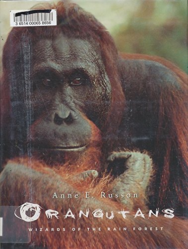 cover image Orangutans: Wizards of the Rain Forest