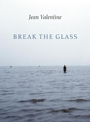 cover image Break the Glass