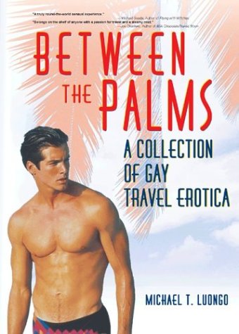 cover image Between the Palms: A Collection of Gay Travel Erotica