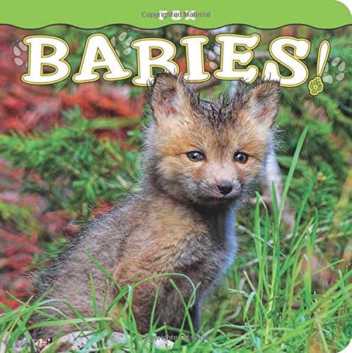 cover image Fox Babies!