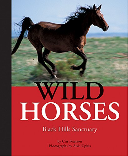 cover image WILD HORSES: Black Hills Sanctuary