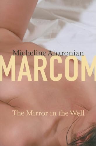 cover image The Mirror in the Well