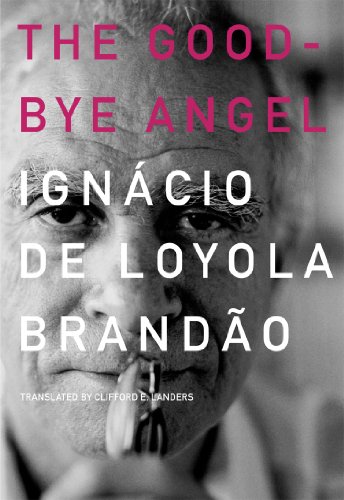 cover image The Good-Bye Angel