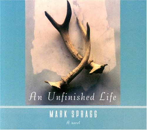 cover image AN UNFINISHED LIFE