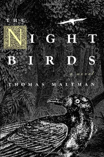 cover image The Night Birds