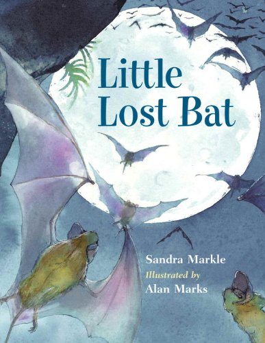 cover image Little Lost Bat