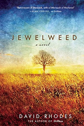 cover image Jewelweed