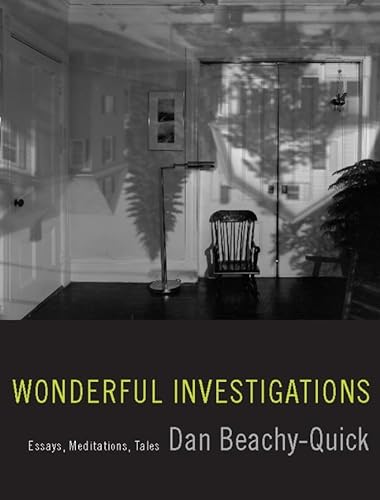 cover image Wonderful Investigations: Essays, Meditations, Tales