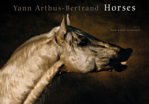 cover image Horses