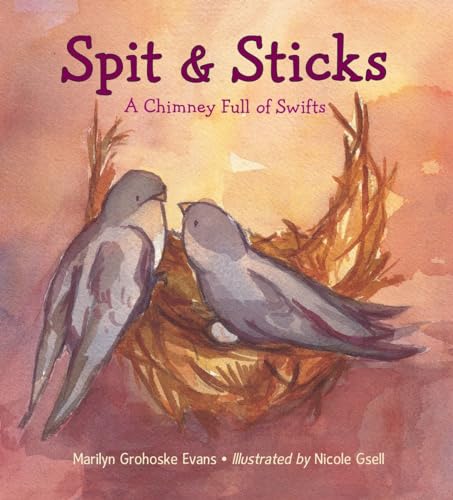 cover image Spit & Sticks: A Chimney Full of Swifts
