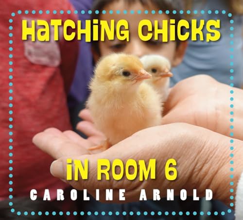 cover image Hatching Chicks in Room 6