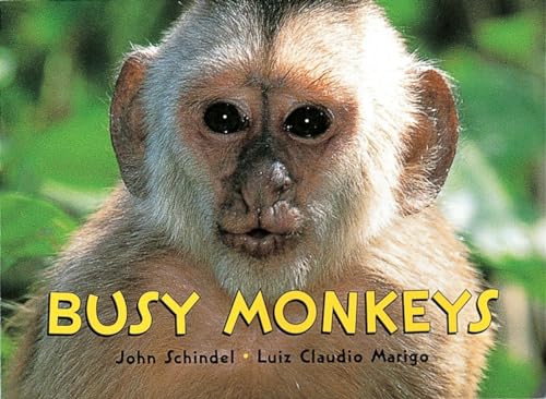 cover image Busy Monkeys