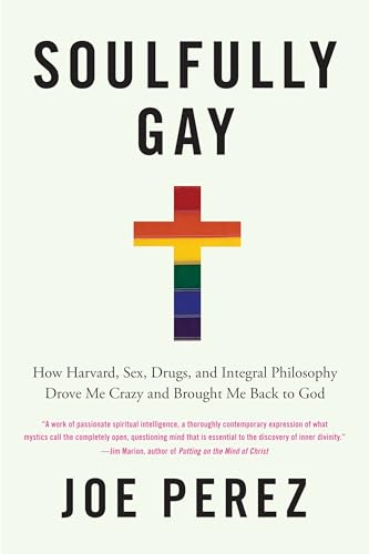 cover image Soulfully Gay: How Harvard, Sex, Drugs, and Integral Philosophy Drove Me Crazy and Brought Me Back to God