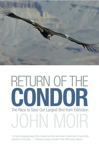 cover image Return of the Condor: The Race to Save Our Largest Bird from Extinction