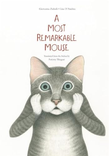 cover image A Most Mysterious Mouse