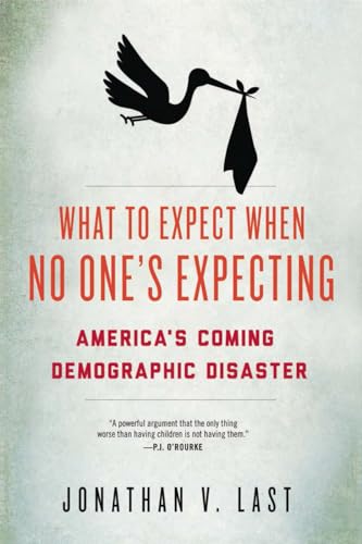 cover image What To Expect When No One's Expecting: America's Coming Demographic Disaster