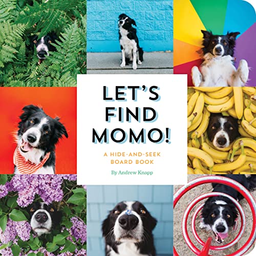 cover image Let’s Find Momo! A Hide-and-Seek Board Book