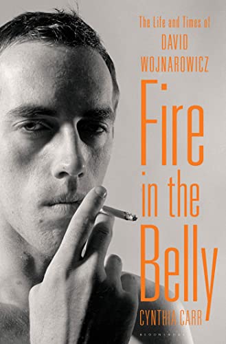 cover image Fire in the Belly: The Life and Times of David Wojnarowicz