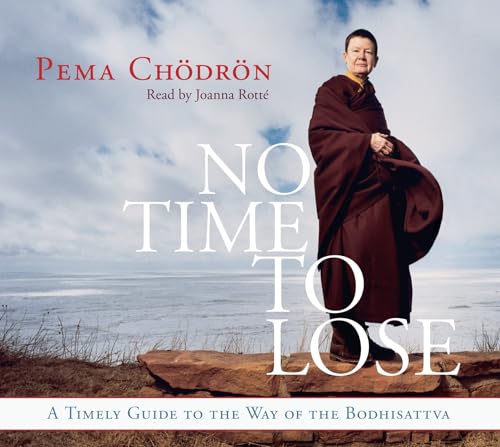 cover image No Time to Lose: A Timely Guide to the Way of the Bodhisattva