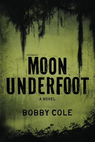 cover image Moon Underfoot