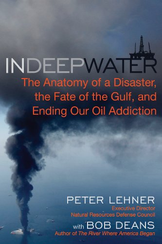 cover image In Deep Water: The Anatomy of a Disaster, the Fate of the Gulf, and How to End Our Oil Addiction