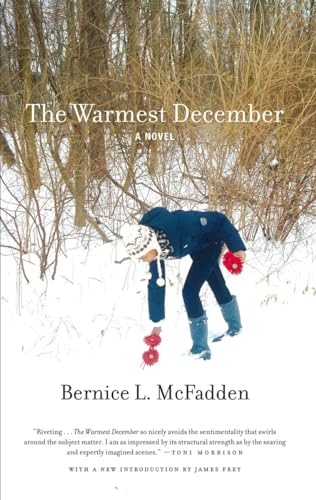 cover image The Warmest December 