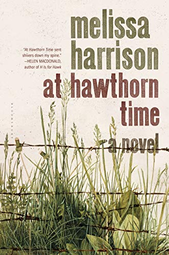 cover image At Hawthorn Time