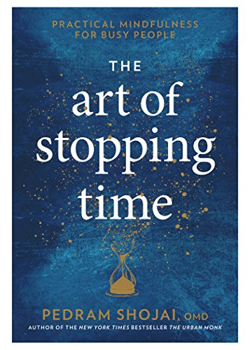 cover image The Art of Stopping Time