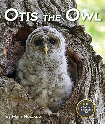 cover image Otis the Owl