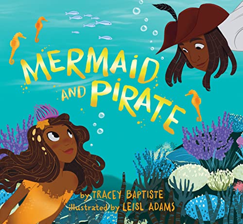 cover image Mermaid and Pirate