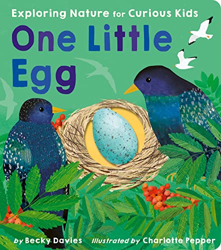 cover image One Little Egg: Exploring Nature for Curious Kids