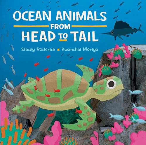 cover image Ocean Animals from Head to Tail